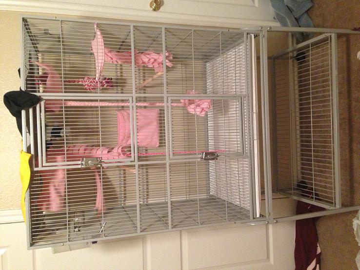 GliderGossip New Inactive Glider